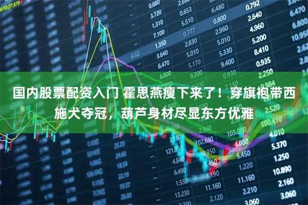 国内股票配资入门 霍思燕瘦下来了！穿旗袍带西施犬夺冠，葫芦身材尽显东方优雅